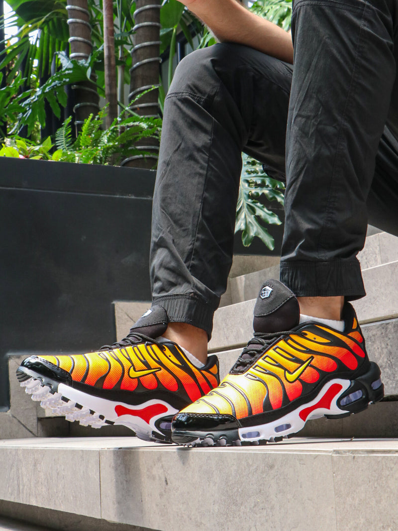 DEPORTIVO NIKE AIR MAX PLUS - Estilo y Actitud 🌟